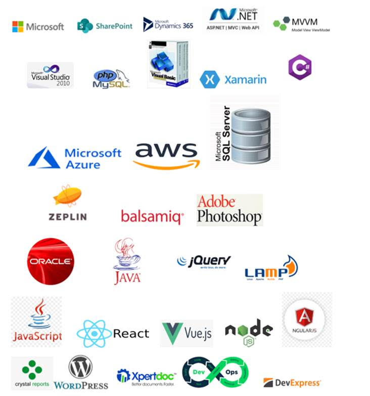 Custom Application Development Software India